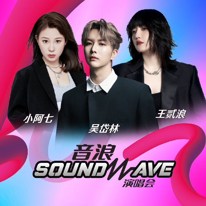 [新] 音浪SOUNDWAVE演唱会2025