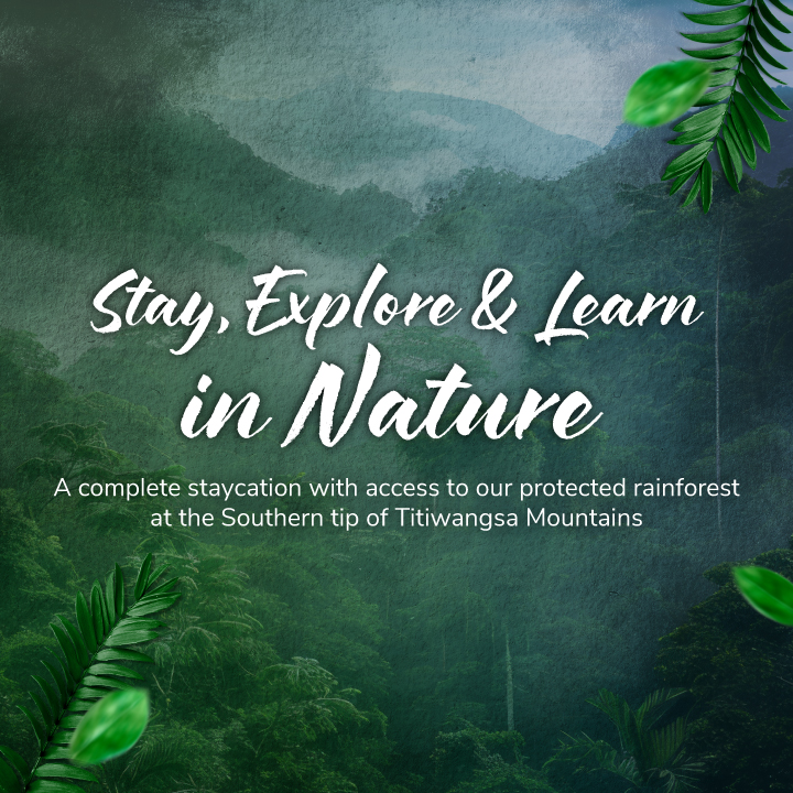 Stay, Explore & Learn in Nature