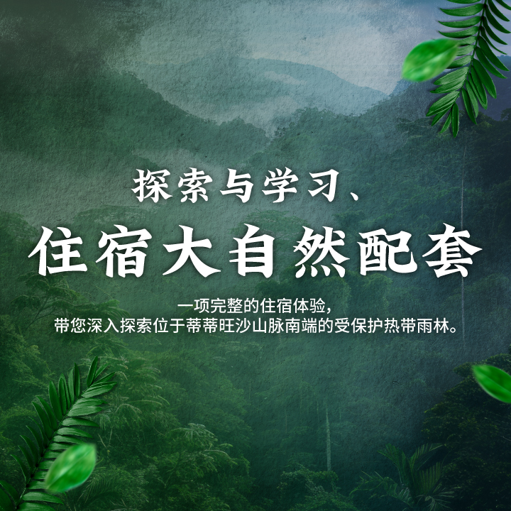 探索与学习、住宿大自然配套