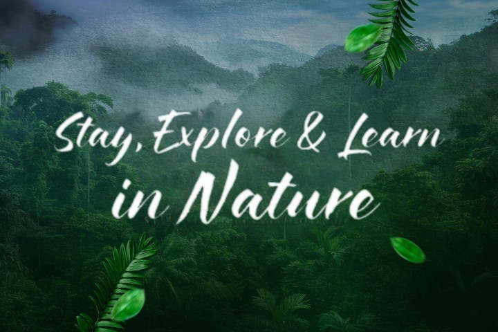 hotel and nature walk package at resorts world awana